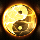 YinYang Taichi Lwp APK