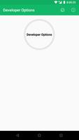 Developer Options Affiche