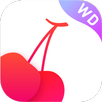 CherryPub-libotoy controller APK