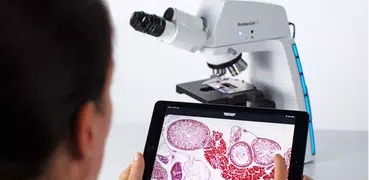 Labscope