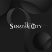 ”Senayan City