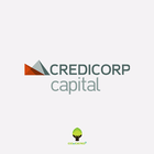 Credicorp + CO2Cero icône