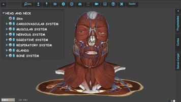 BioTK Head and Neck الملصق