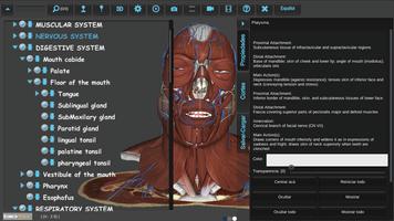 BioTK Head and Neck capture d'écran 1