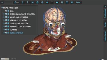 BioTK Head and Neck capture d'écran 2