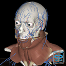 3Dissect Head & Neck APK