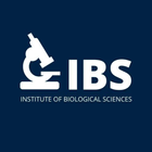 IBS ikona