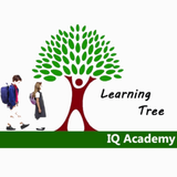 IQ Academy ikona