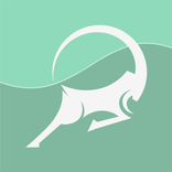 ibex VPN: Fast and secure