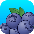 Smartirrigation Blueberry biểu tượng