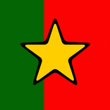 ”Portuguese Verbs