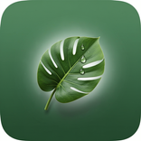 Plantify