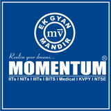 MOMENTUM icono