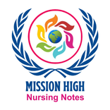 Mission High - Nursing Notes