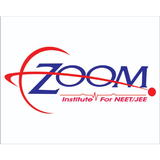 Zoom Institute
