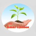 The Amar Classes