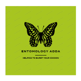 Entomology Adda ikona