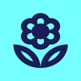 Constipation icon