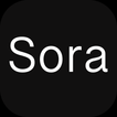 Sora: Text to Video AI