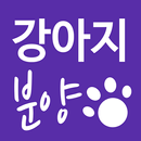 강아지분양 - 강아지분양직거래, 유기견분양 입양 어플 APK