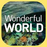 Wonderful WORLD