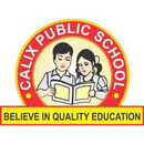 CALIX PUBLIC SCHOOL APK
