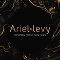 Ariel levy