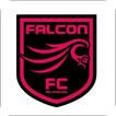 FALCON FC biểu tượng