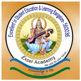 Exsel Academy иконка