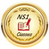 NS1 CLASSES 圖標