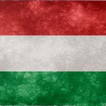 Icona Hungarian Conjugation
