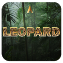Apolo Leopard - Theme, Icon pa APK