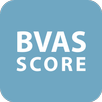 BVAS Score APK