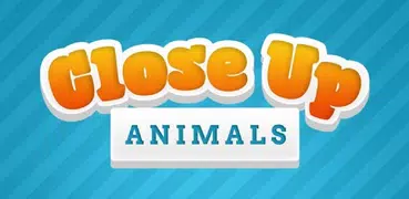 Close Up Animals - Kids Games