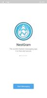 NestGram постер