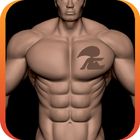 Aesthetic Body icon