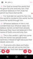 Bible Salvation Jn316 poster