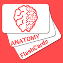 Anatomy FlashCards APK