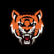 TIGER ACADEMY JHANSI