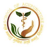 School of Acupuncture ikon