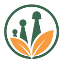 Labs Kiddies Haven APK