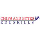 CHIPS AND BYTES icon