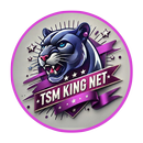 APK Tsm King Net VPN