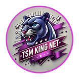 Tsm King Net VPN