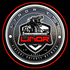 LINOR VPN TUNNEL simgesi