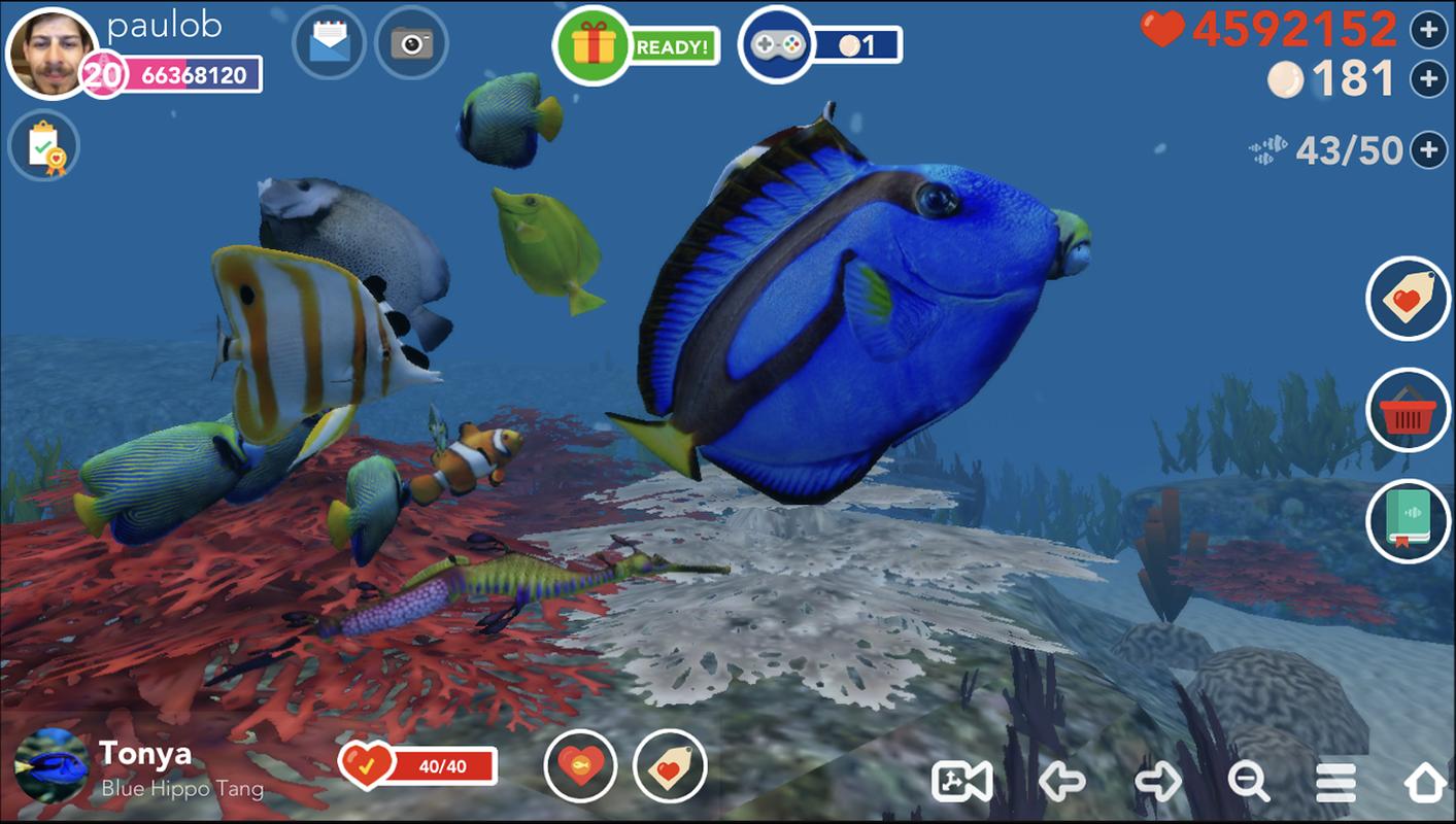 ocean reef life 3d