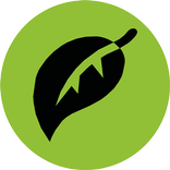 DrugStore - דראגסטור