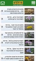 מסלולים Screenshot 2