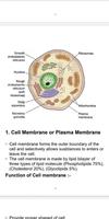 Nursing Notes تصوير الشاشة 1