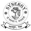 Synergy Institute